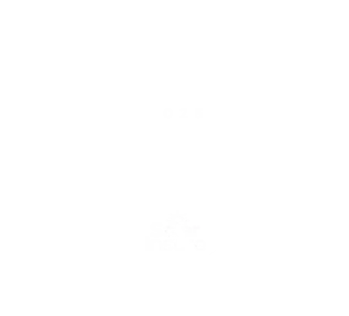 Socio Certificado Solar Insure 2025